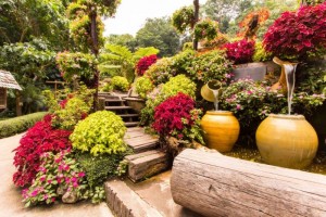 shutterstock_144388054