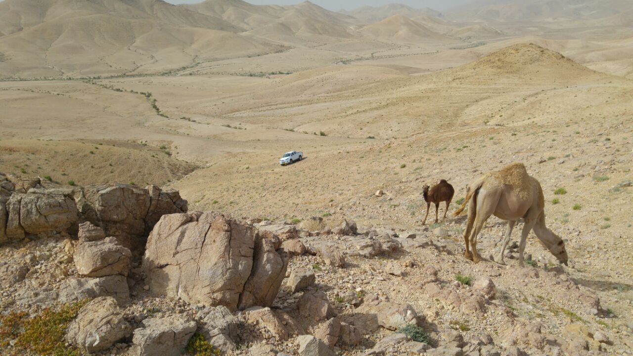 IMG-20160427-WA0058
