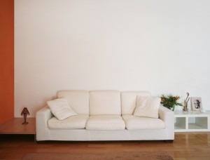shutterstock_27923536